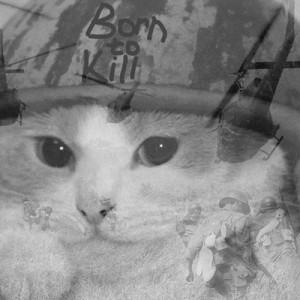 Create meme: cat, Cat, Vietnam flashback cat