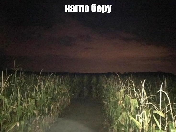 Create meme: night road, cornfield at night, field at night