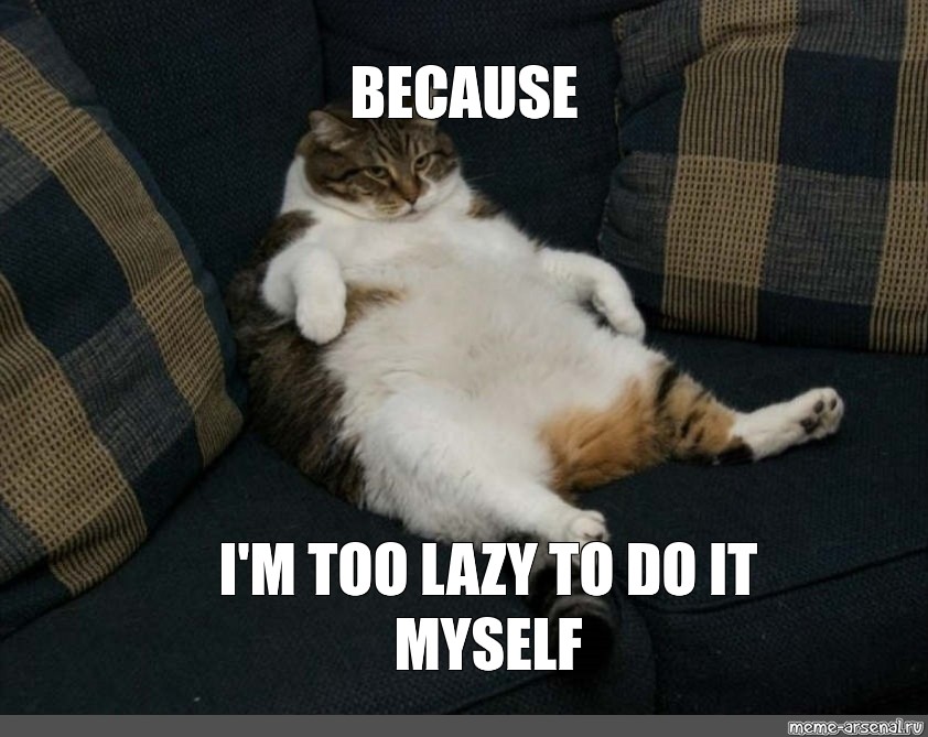 I m too lazy. Because Мем. Толстый котик. Because i can Мем. Meme did it myself.