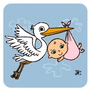Create meme: stork, stork, funny stork with baby