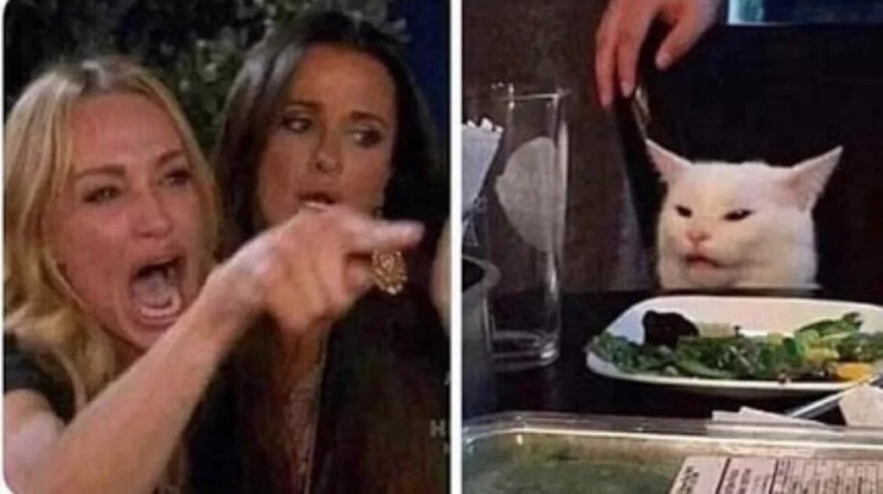 Create meme: cat , the meme with the cat and the girls, the meme with the cat at the table