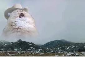 Create meme: the cat in the mountains, screaming cat, screaming cat in the hat meme