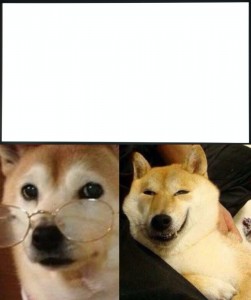 Create meme: shiba inu, Dog, Sobakin