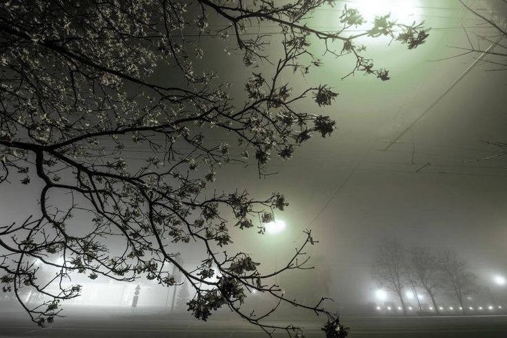 Create meme: foggy night, night mist, night nature