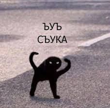 Создать мем: cat art, эта, мена чекать