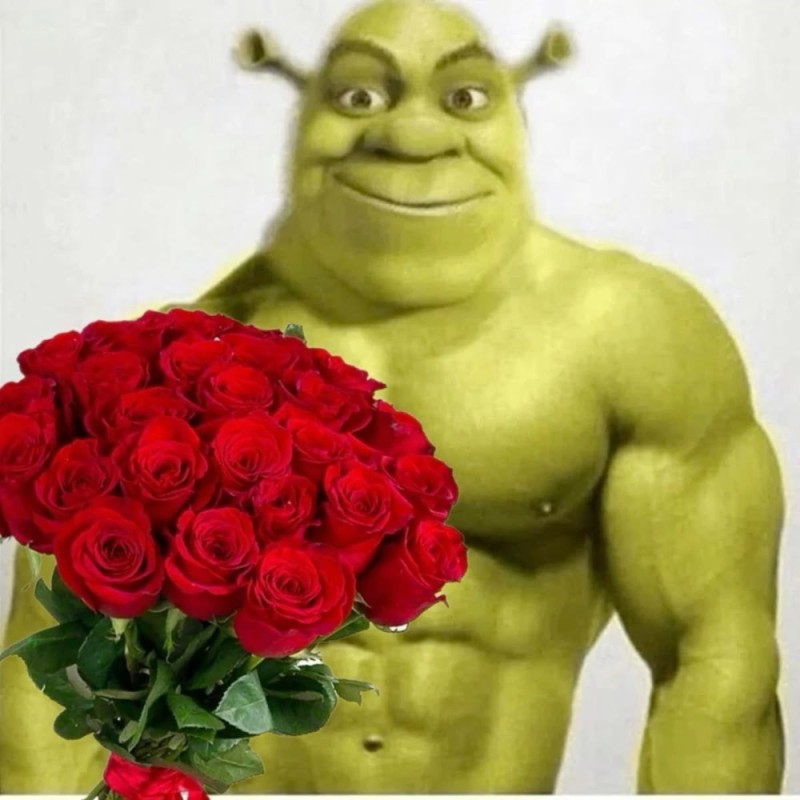 Create meme: Shrek , a postcard to the DR with Shrek, Shrek Jock