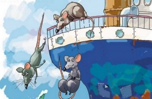 rats jumping ship