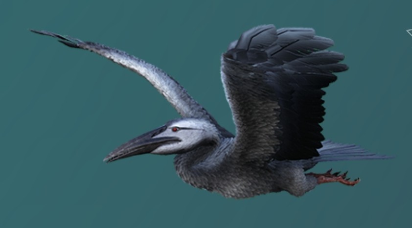 Create Meme "pelagornis Ark, Ichthyornis, Hesperornis Ark" - Pictures ...