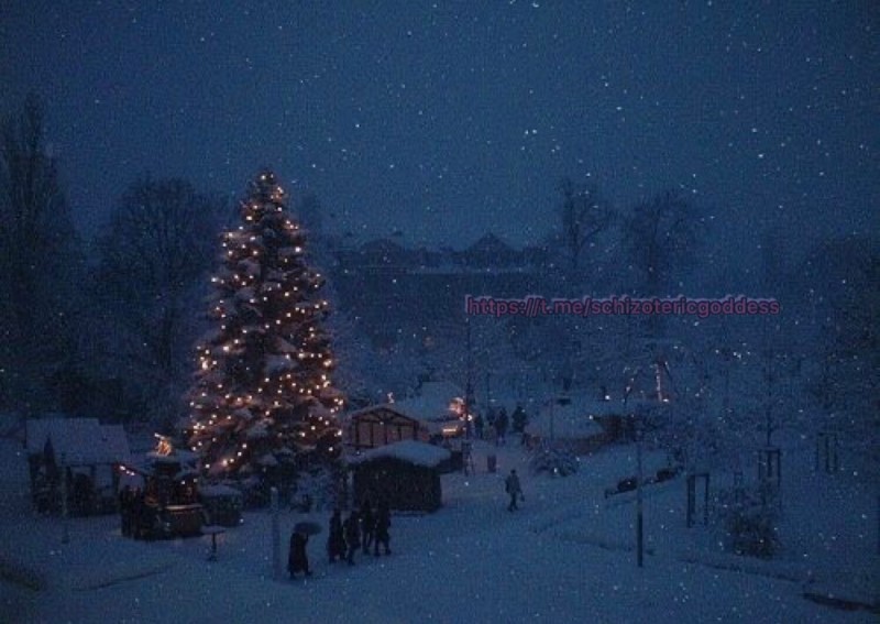 Create meme: winter tree, winter Christmas tree, winter snow 