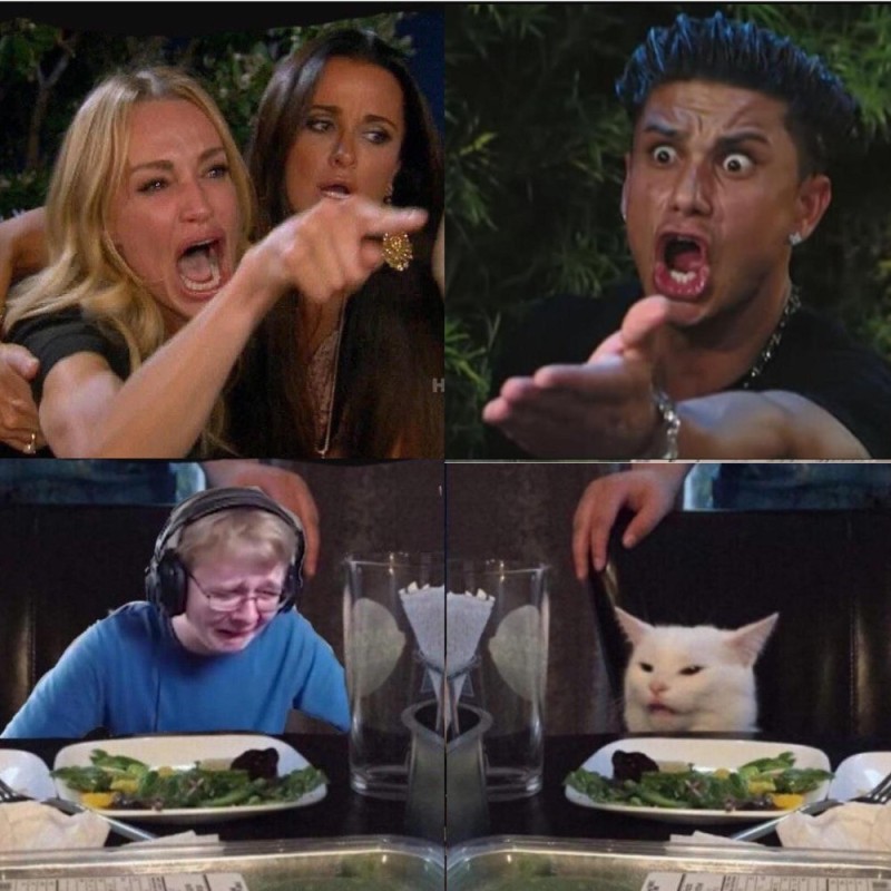 Создать мем: девушка орёт на кота мем, мемы мемы, мемы с котом за столом