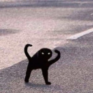 Create meme: the black cat story, black cat, cat