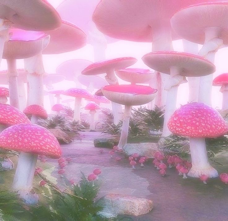 Создать мем: грибы фэнтези, грибы лес, грибы
