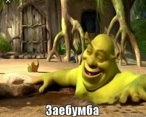 Create meme: Shrek mems, Shrek zabumba, Shrek