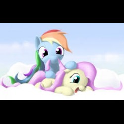 Create meme: fluttershy and rainbow dash, fluttershy and rainbow dash, pony 