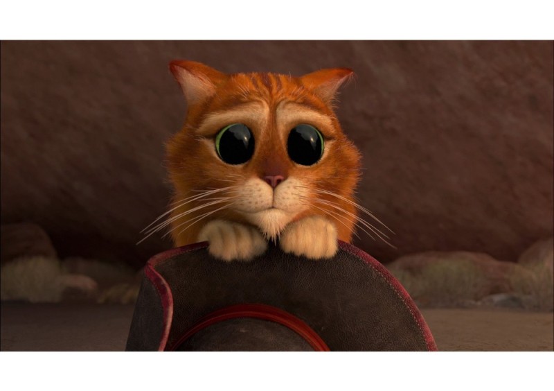 Create meme: the cat from Shrek with the big, Puss in boots three little devils, puss in boots eyes 