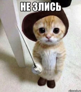 Создать мем: cat cute, cat, животные