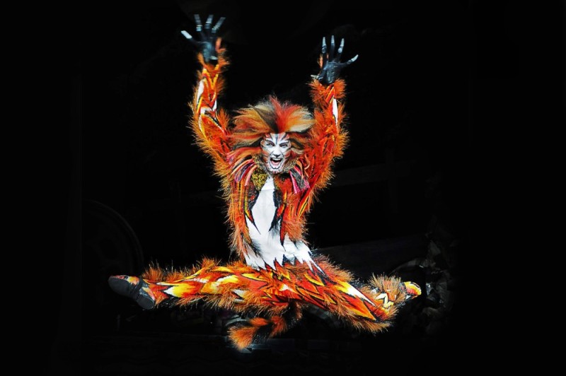 Create meme: the musical cats of macavity, the musical cats, cat 