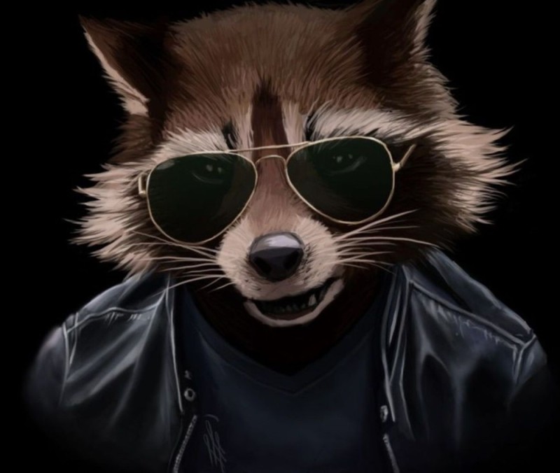 Create meme: raccoon art, rocket raccoon with glasses, cool raccoon