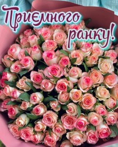 Create meme: rose Bush, bouquet of 101 roses, a bouquet of roses