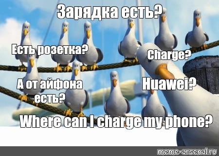 Гифка дай дай дай. Чайки из Немо дай. Чайки дай дай дай. Чайки из Немо Мем. Дай дай дай Мем.