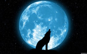 Create meme: why do wolves howl at the moon, the wolf and the moon, wolf howling at the moon