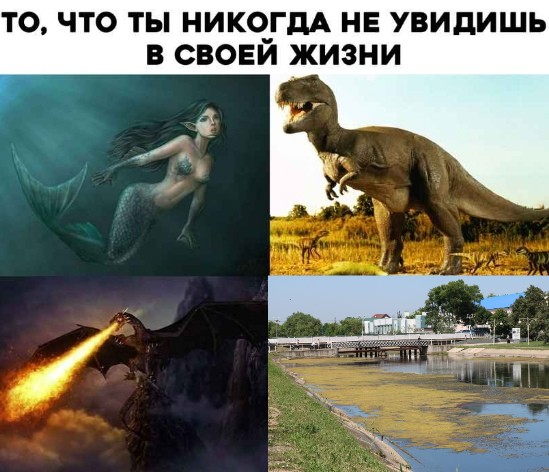 Create meme: dinosaur , memes about dinosaurs, A real dinosaur