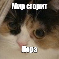 Создать мем: null