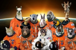 Create meme: mistakes, luar, space animals