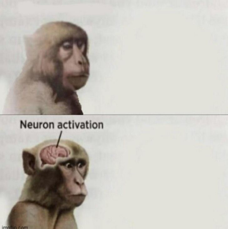 Создать мем: neuron activation, мем обезьяна, neuron activation мем