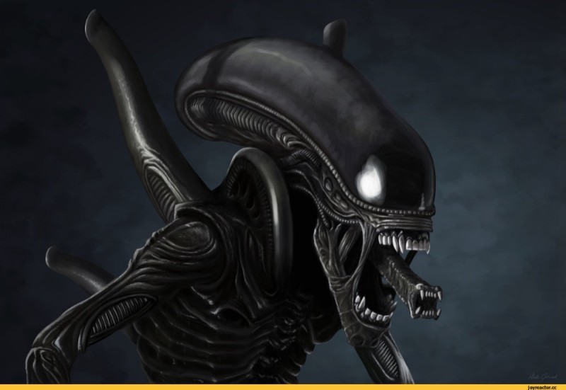 Create meme: xenomorph stranger, strangers, alien 1979 giger's xenomorph