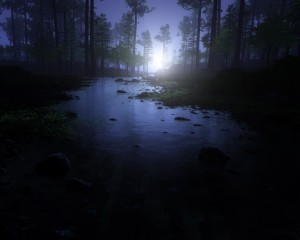 Create meme: night forest