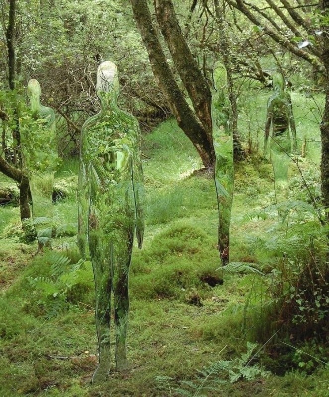 Create meme: Rob Mulholland Invisible Sculptures, Glass sculptures in a Scottish forest by Rob Mulholland, Rob Mulholland