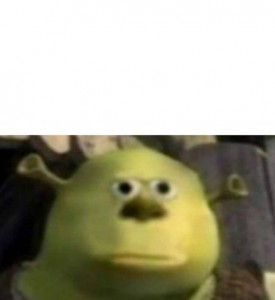 Create meme: Shrek, Shrek face Sally