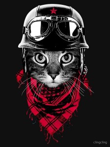 Create meme: cat pilot, cat, cat in a helmet