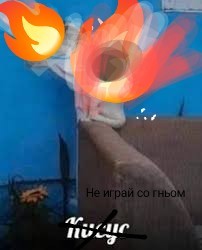 Create meme: bonfire fire, Your fire, photos in the apartment