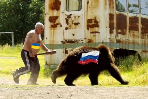 Создать мем: медведь, медведь в россии и америке, медведь веселый