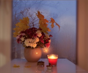 Создать мем: ирина шипунова фотограф, осень, осенние листья и цветы
