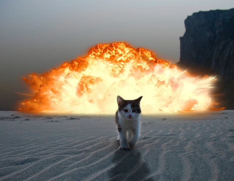 Создать мем: мемы с котами, кот взрыв мем, взрывные котики