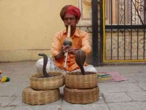 Создать мем: заклинатели змей в индии, джайпур заклинатель змей, заклинатель змей