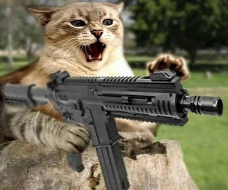 Создать мем: кот с оружием, кот с ружьем, котик с автоматом