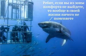 Создать мем: cage, акула в пруду, its time to travel sharks