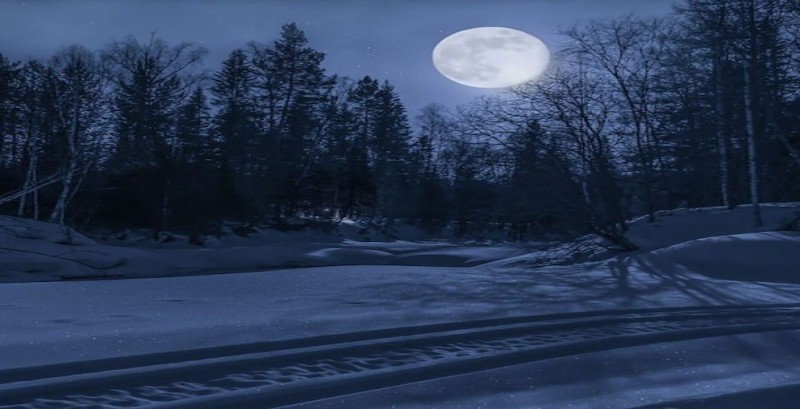 Create meme: winter night landscape, winter night forest, Winter forest night