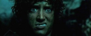 Create meme: gif, Frodo stung, Frodo nooo