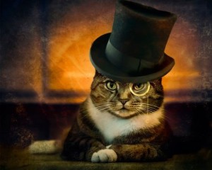 Создать мем: старый умный кот, кот джентльмен, мистер шляпа