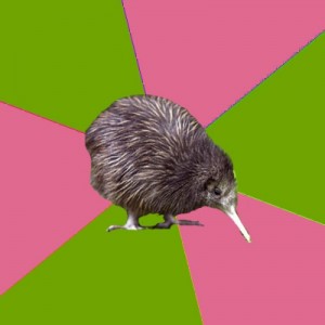 Create meme: joke, the kiwi, humor