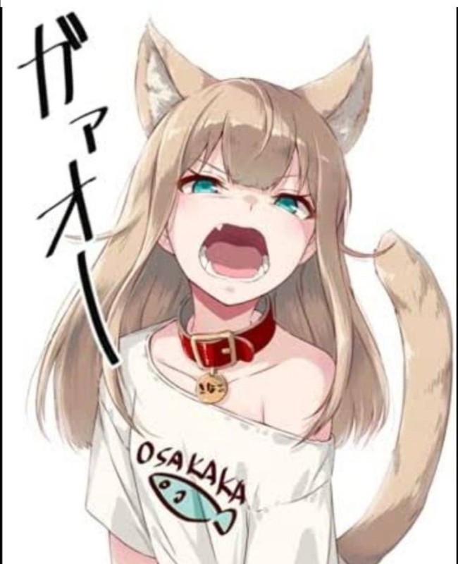 Create meme: anime with ears, anime nekopara, anime neko