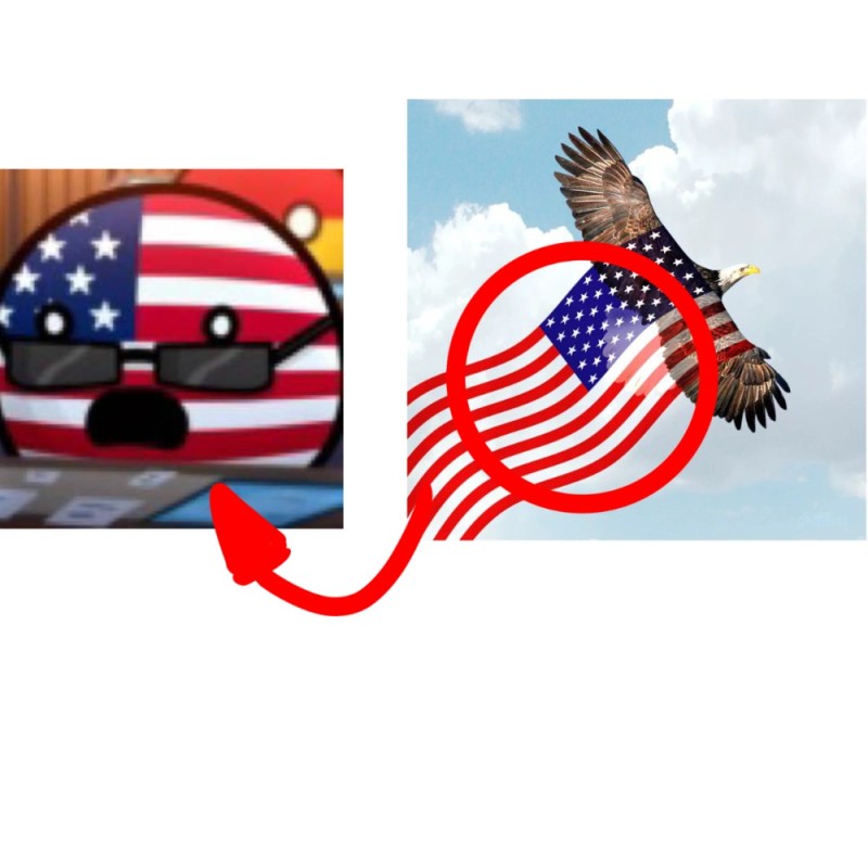 Create meme: America , USA , symbols of the USA