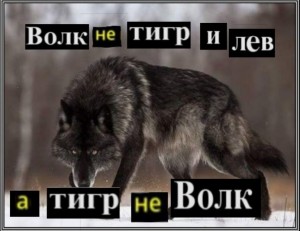 Create meme: wolf meme, wolf, wolf wolf