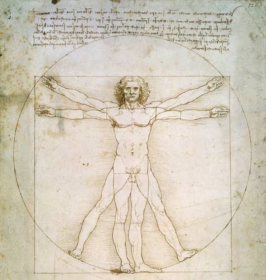 Create meme: Leonardo da Vinci Vitruvian man, Leonardo da Vinci, man Leonardo da Vinci