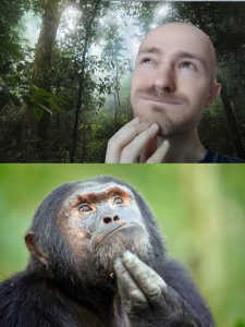 Создать мем: обезьяна, chimpanzee, шимпанзе